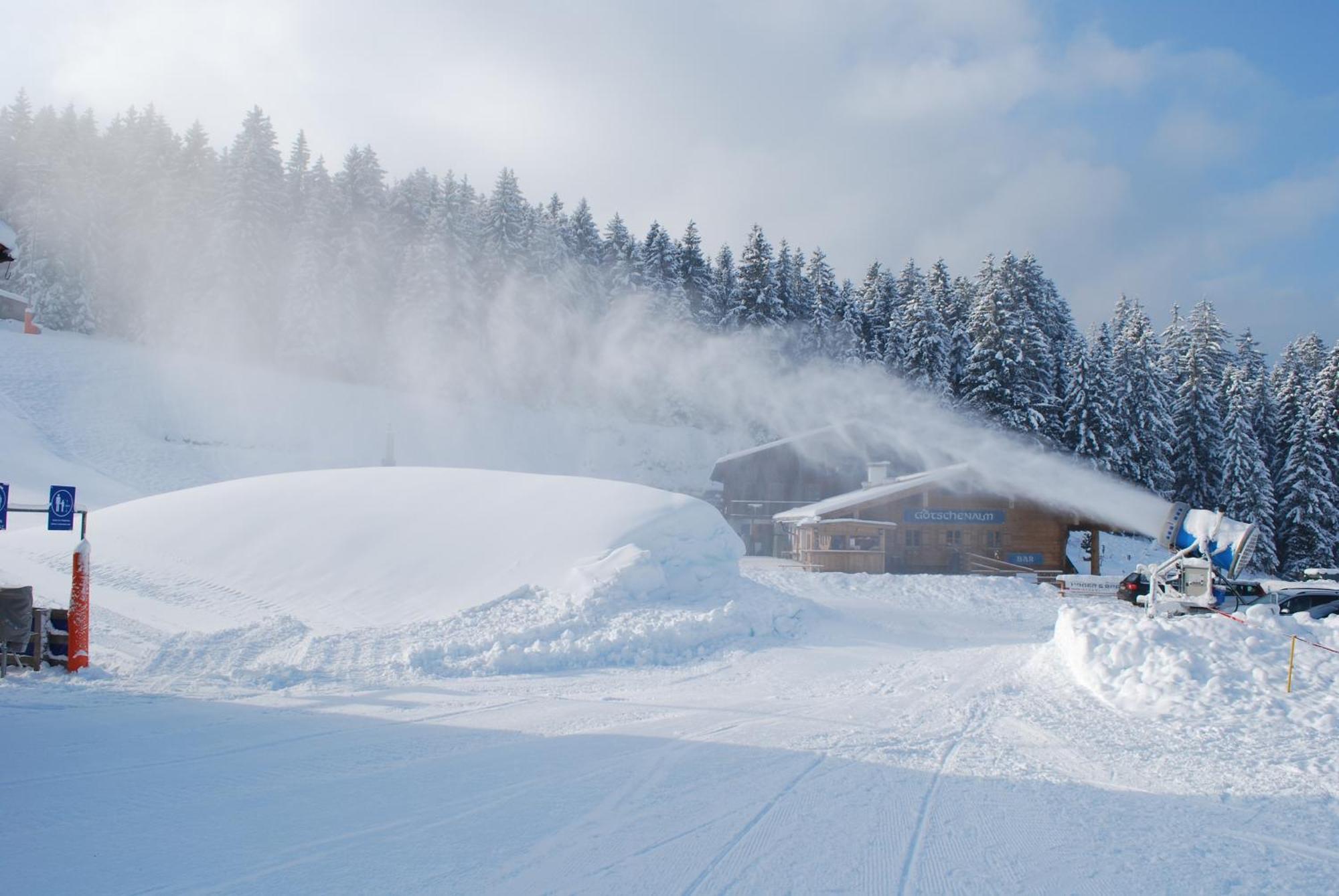 Alpengasthof Goetschenalm Bischofswiesen Ngoại thất bức ảnh